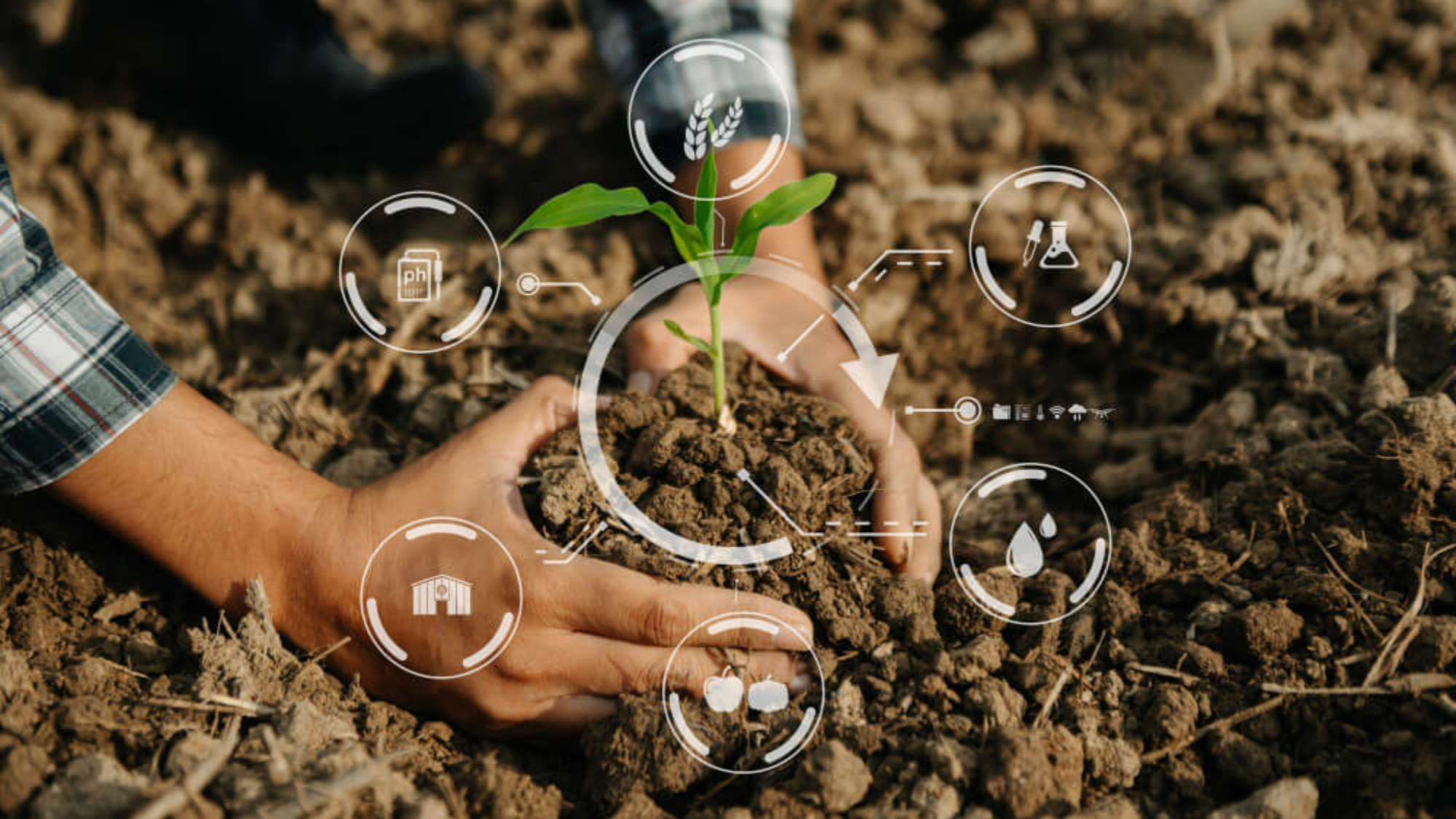 sustainable agriculture